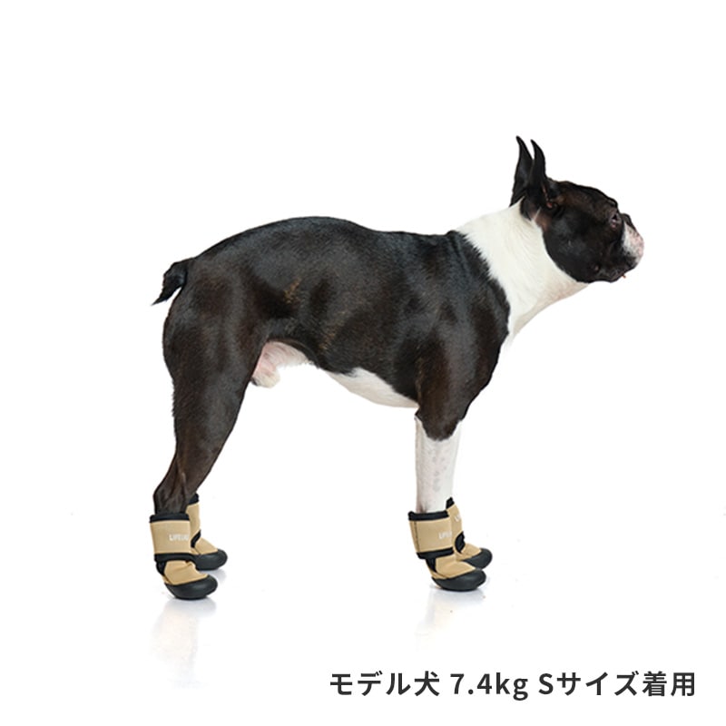 ダブルストラップシューズ | Others（その他）,ソックス・シューズ