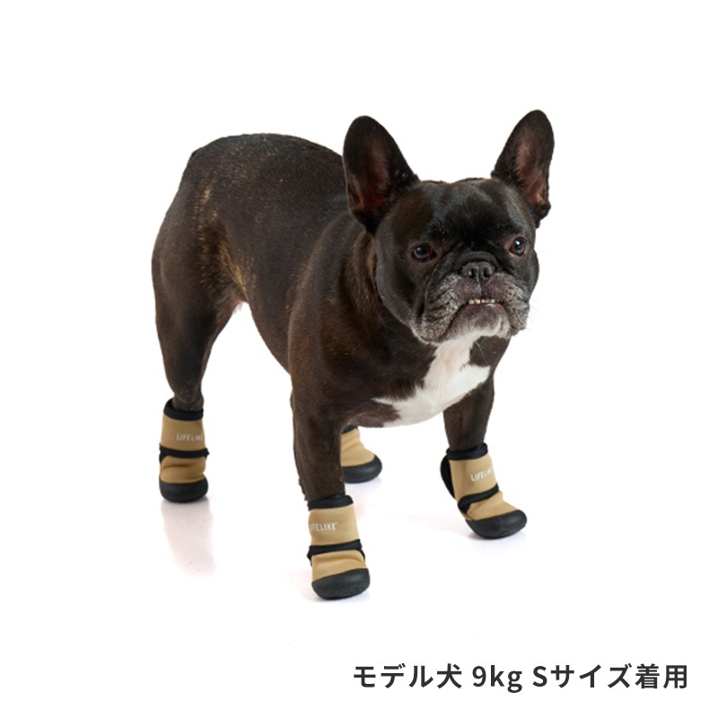 ダブルストラップシューズ