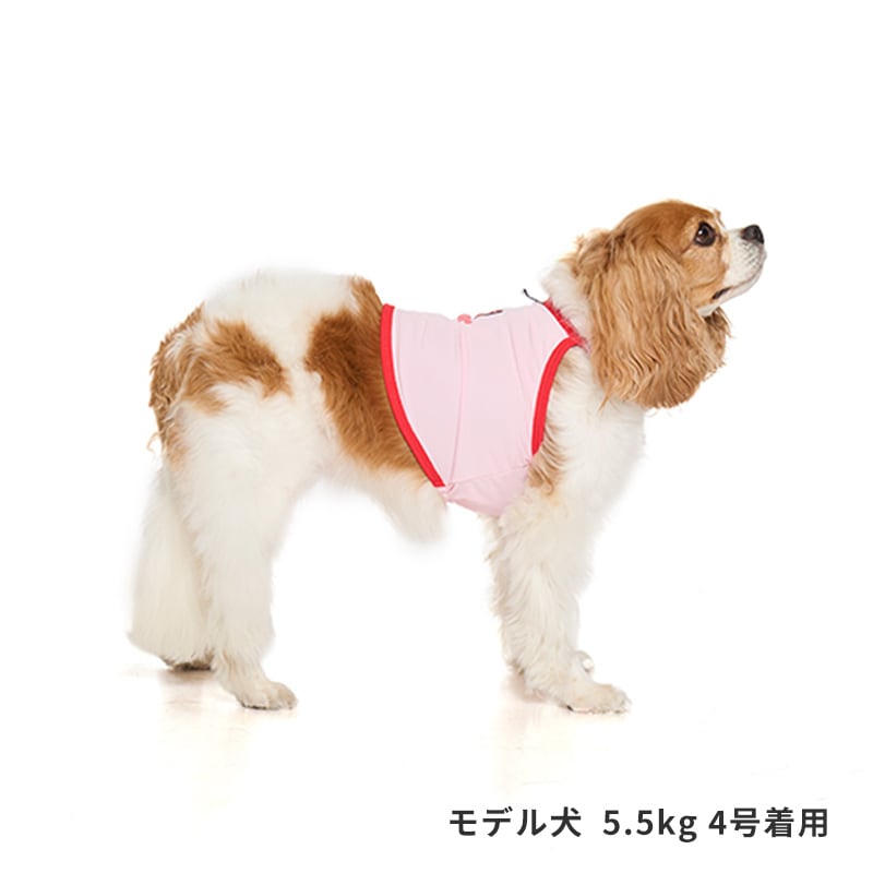 チアーズキャミソール