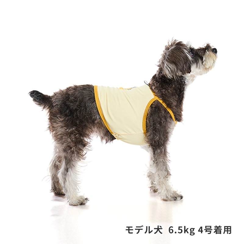 チアーズキャミソール