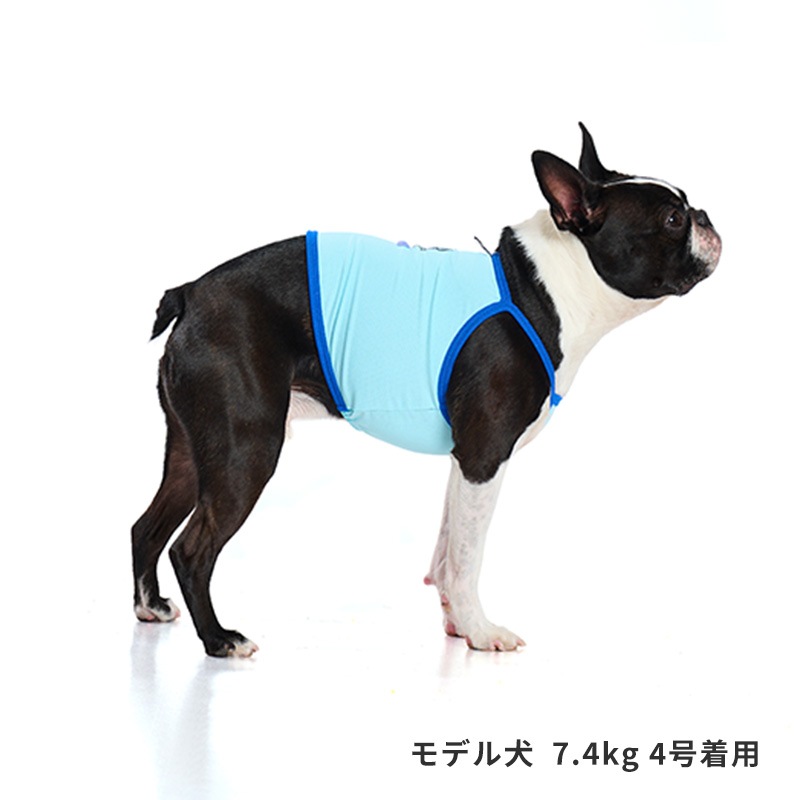 チアーズキャミソール