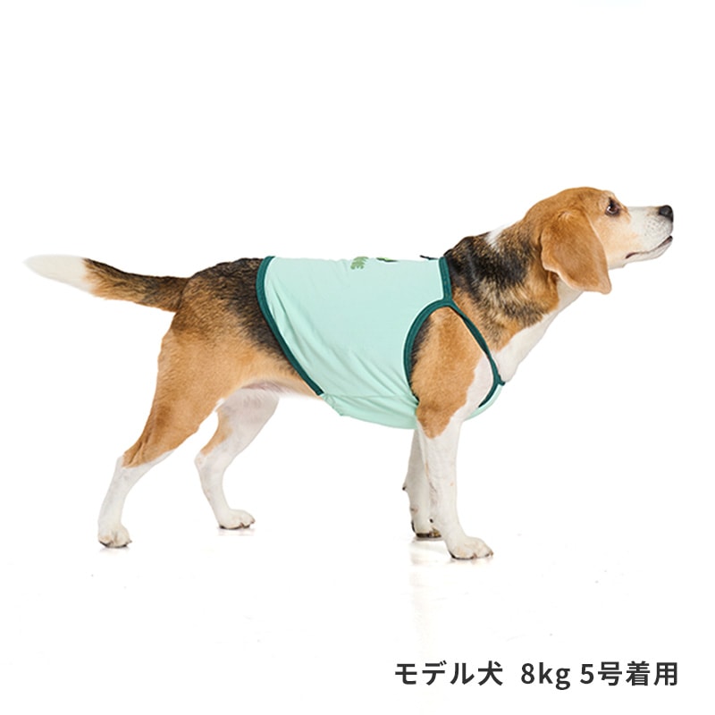 チアーズキャミソール