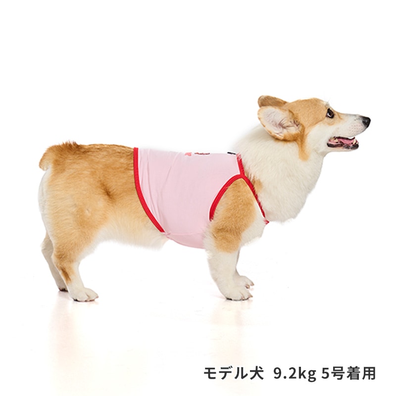 チアーズキャミソール