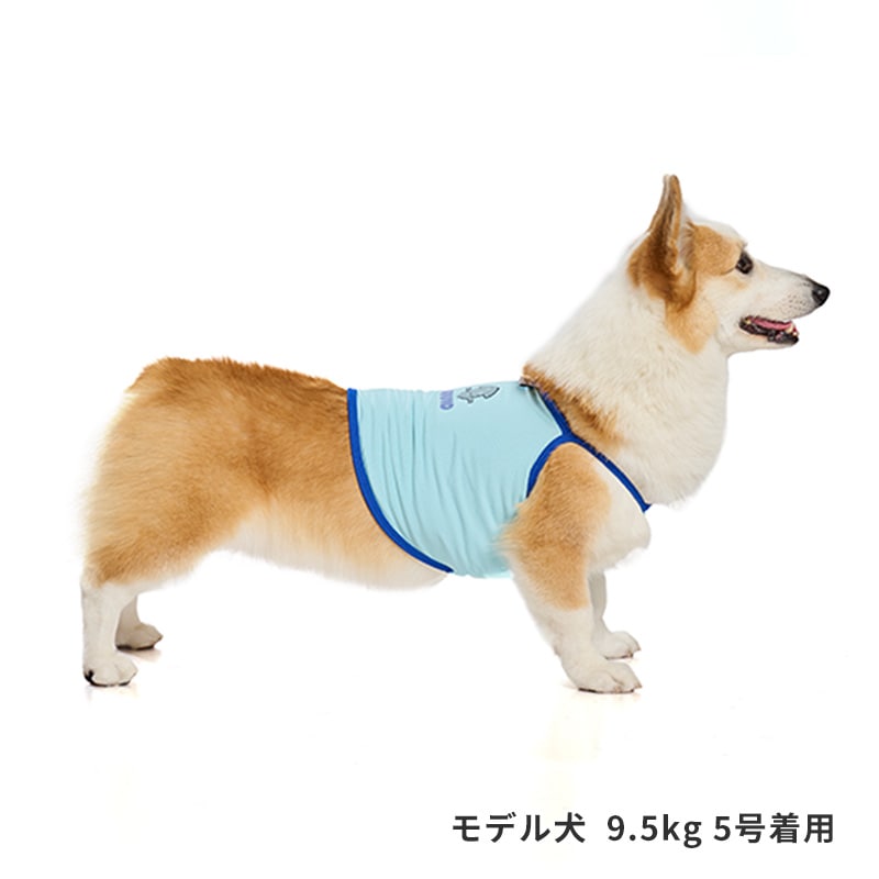 チアーズキャミソール