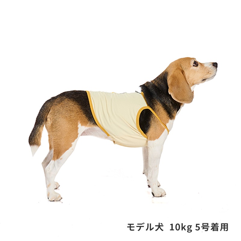 チアーズキャミソール