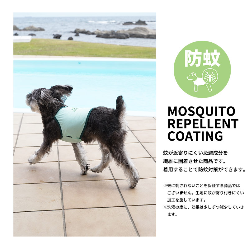 チアーズキャミソール