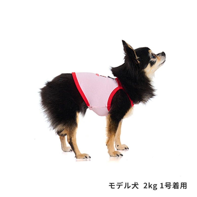 チアーズキャミソール