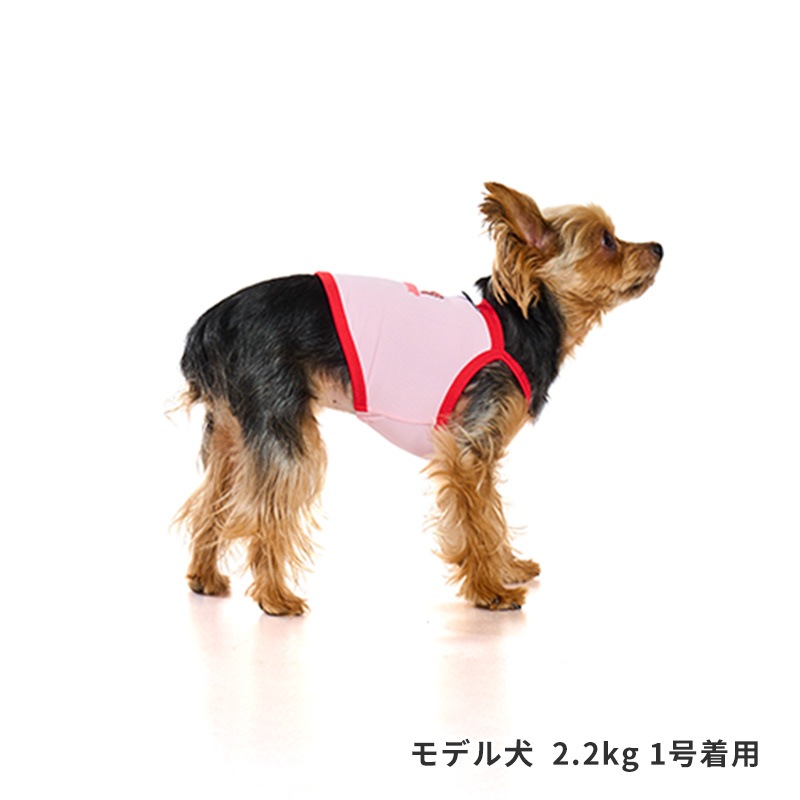 チアーズキャミソール