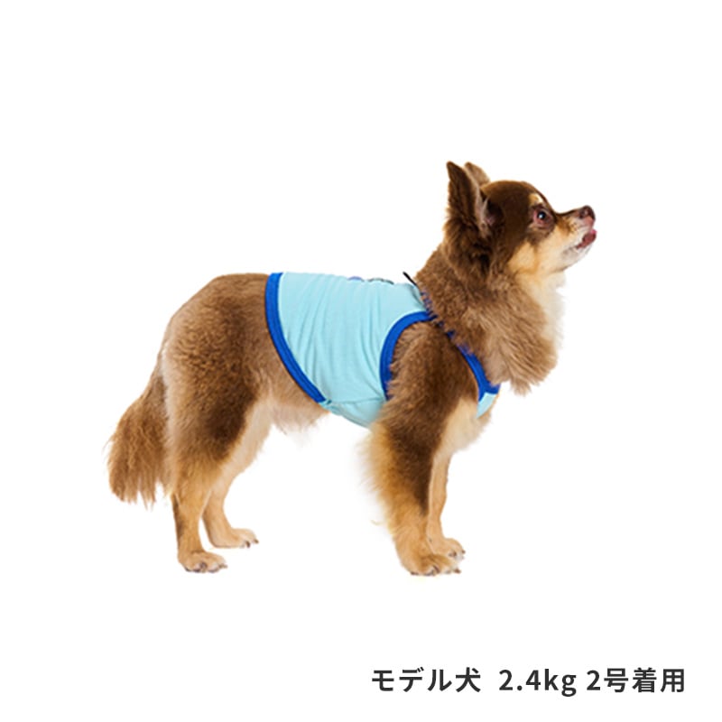 チアーズキャミソール