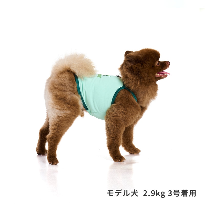 チアーズキャミソール