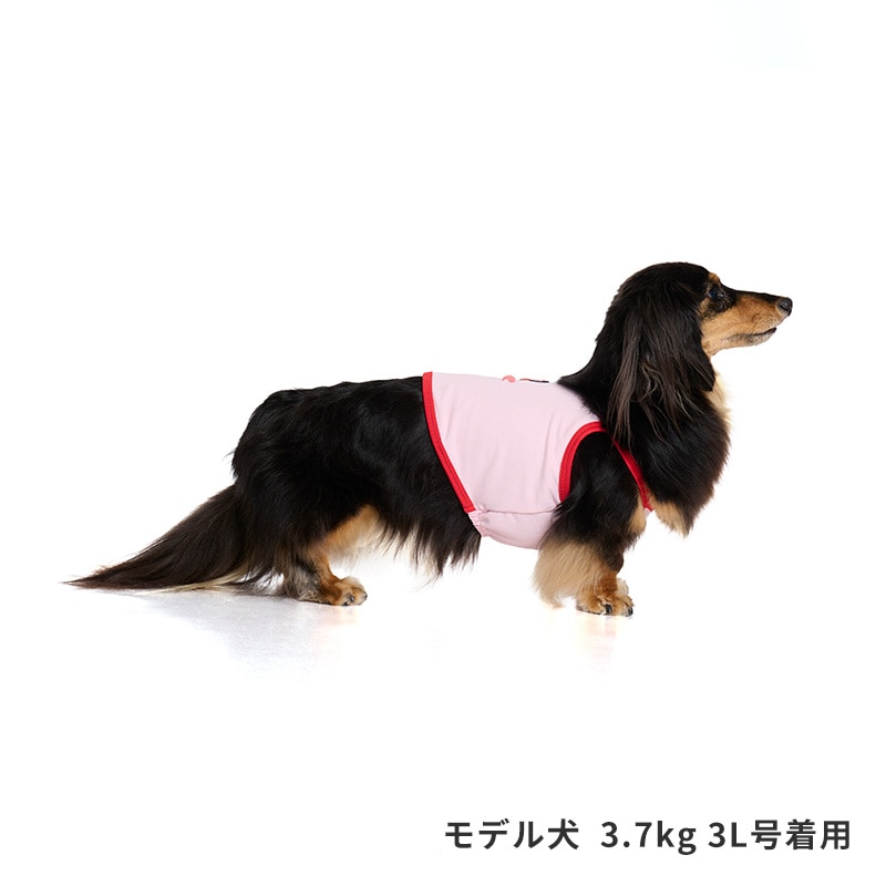 チアーズキャミソール