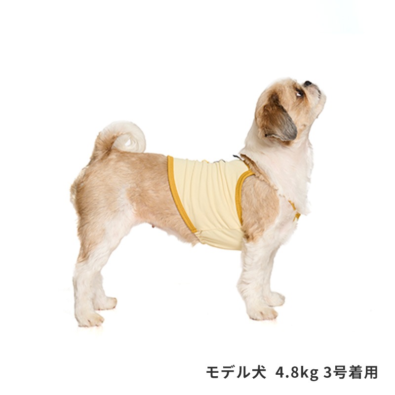 チアーズキャミソール