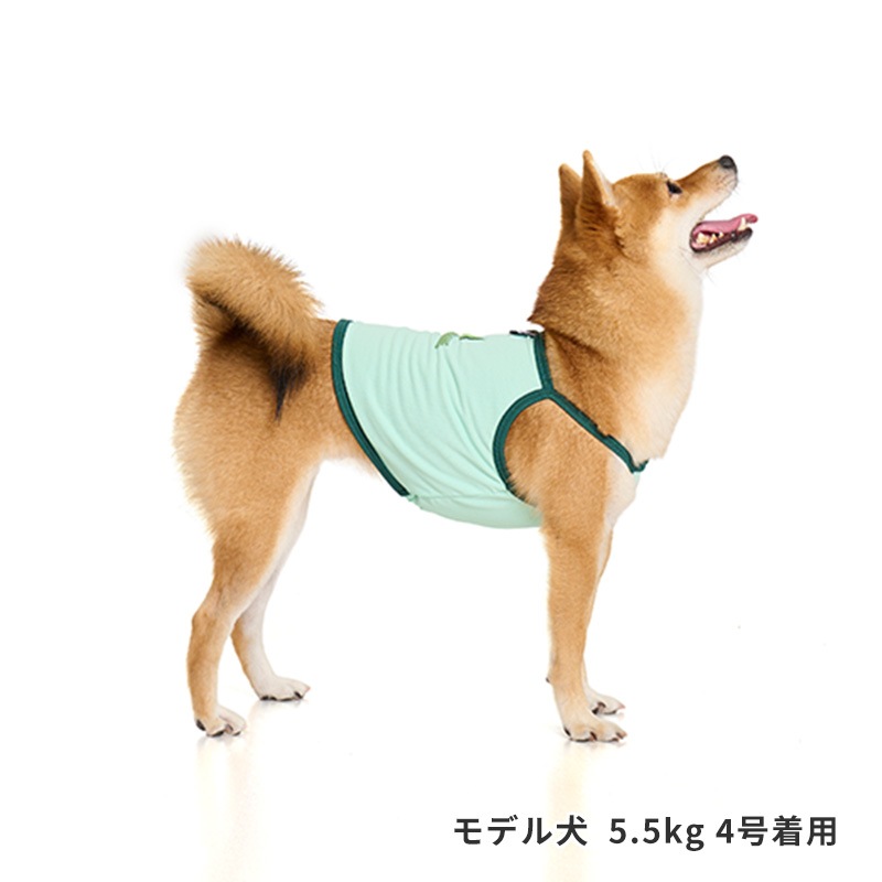 チアーズキャミソール