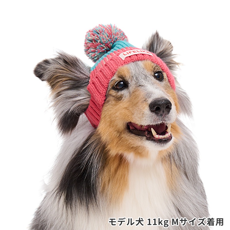 カラーブロック畦ニットキャップ | Cap（キャップ・ハット・バンダナ類
