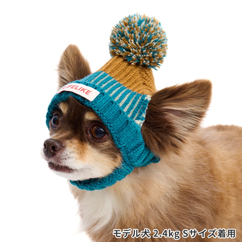 カラーブロック畦ニットキャップ | Cap（キャップ・ハット・バンダナ類