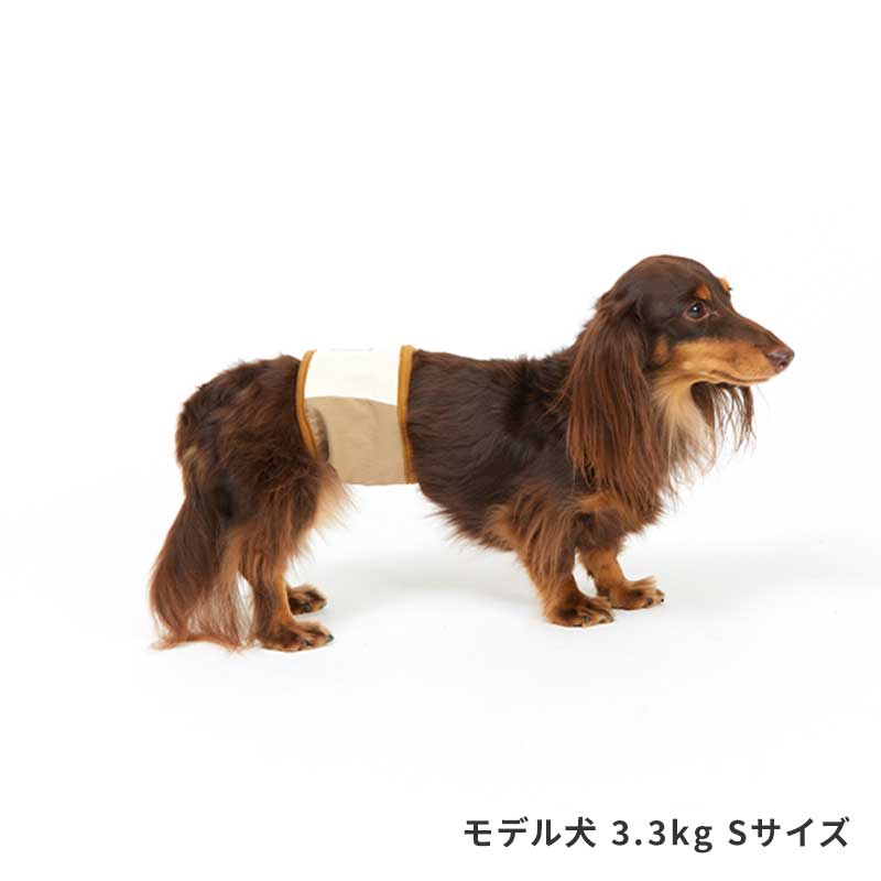 リップストップマナーベルト