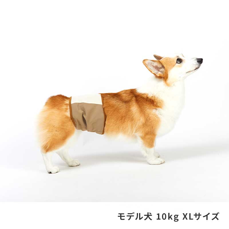 リップストップマナーベルト
