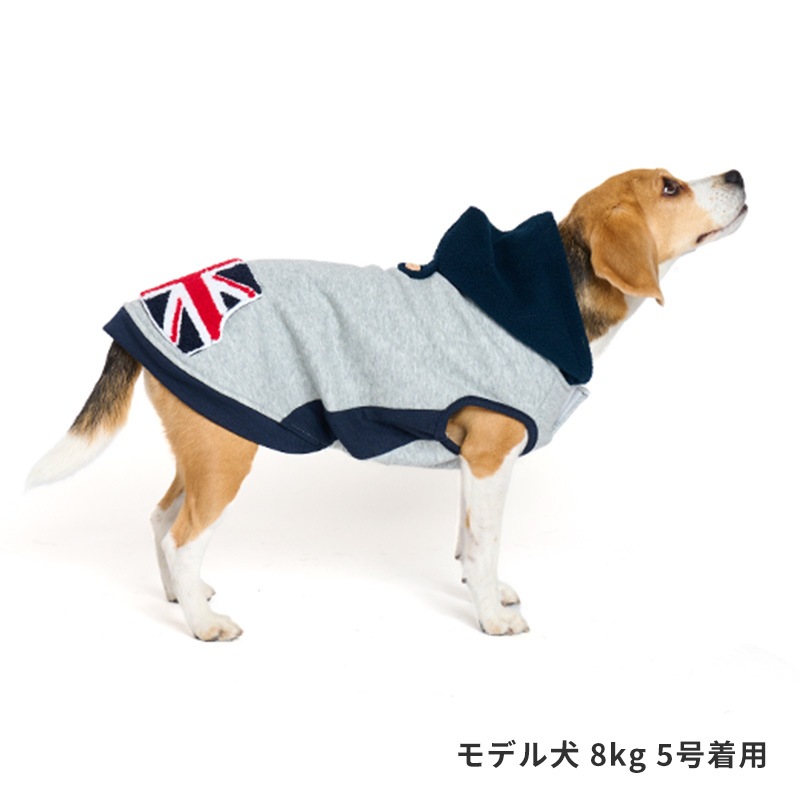 フラッグポケフーディー