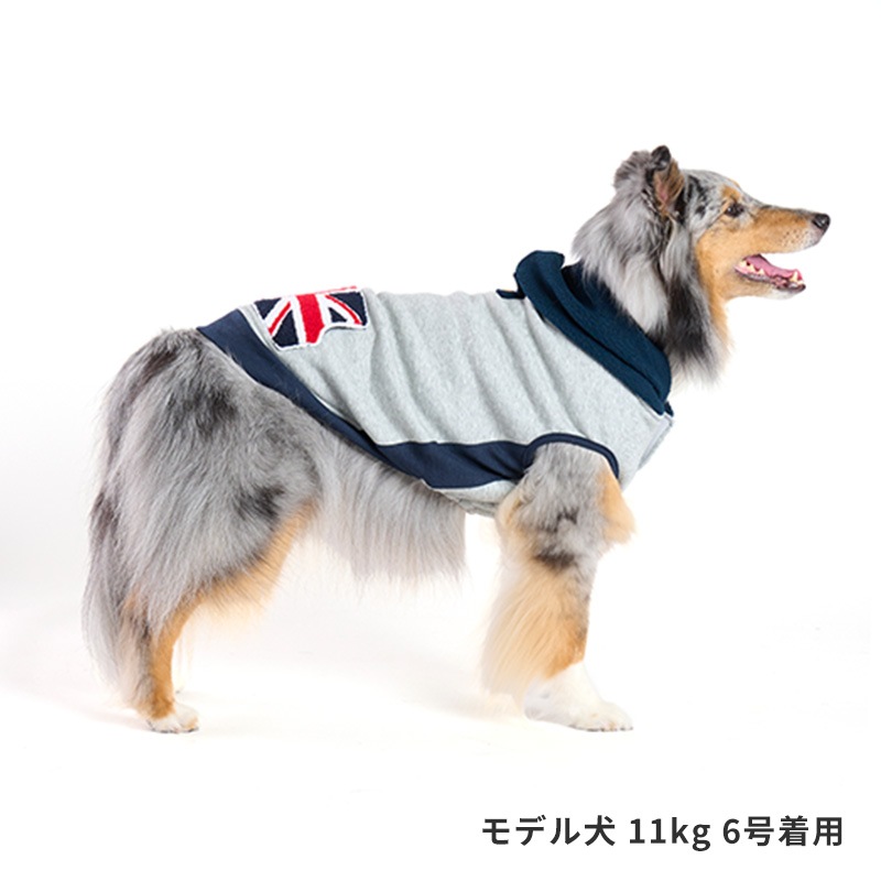 フラッグポケフーディー