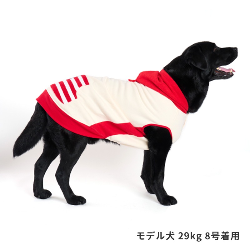 フラッグポケフーディー