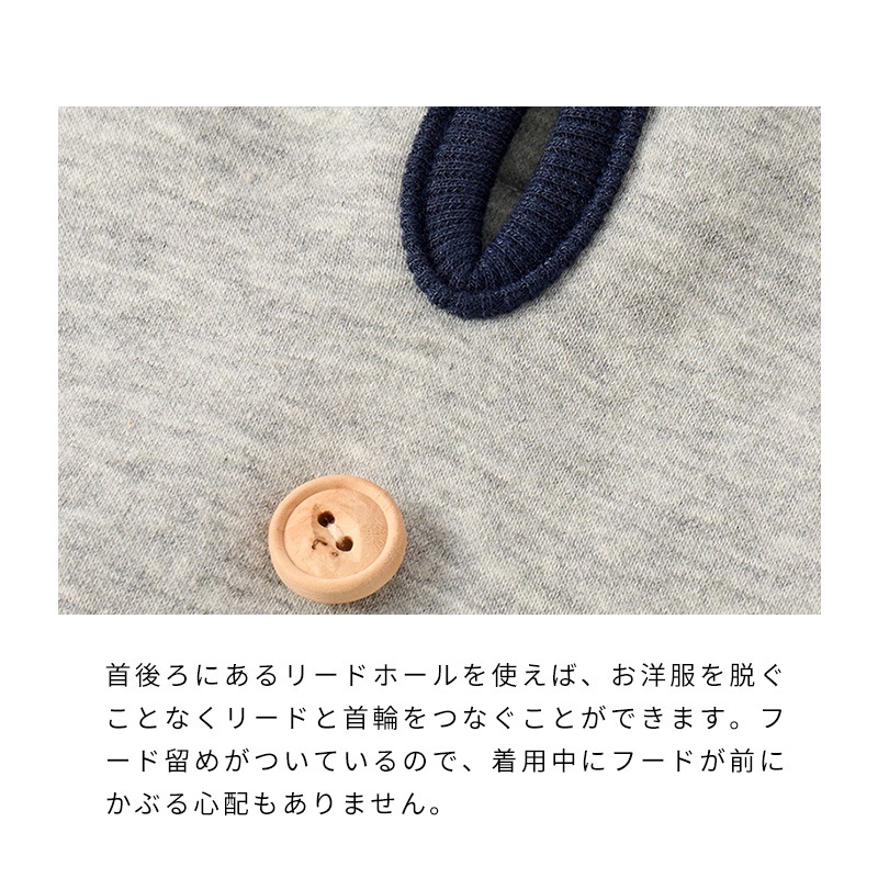 フラッグポケフーディー