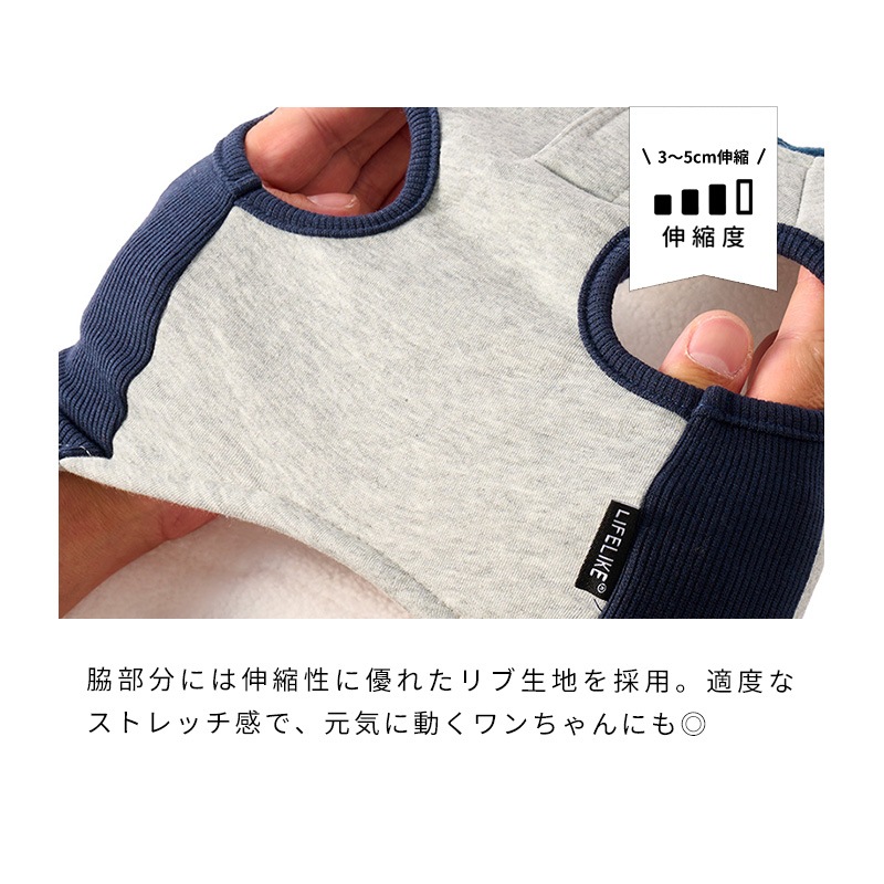 フラッグポケフーディー