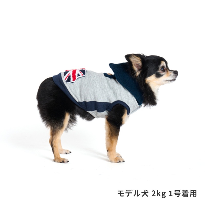 フラッグポケフーディー