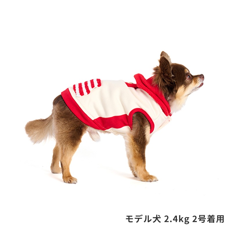フラッグポケフーディー