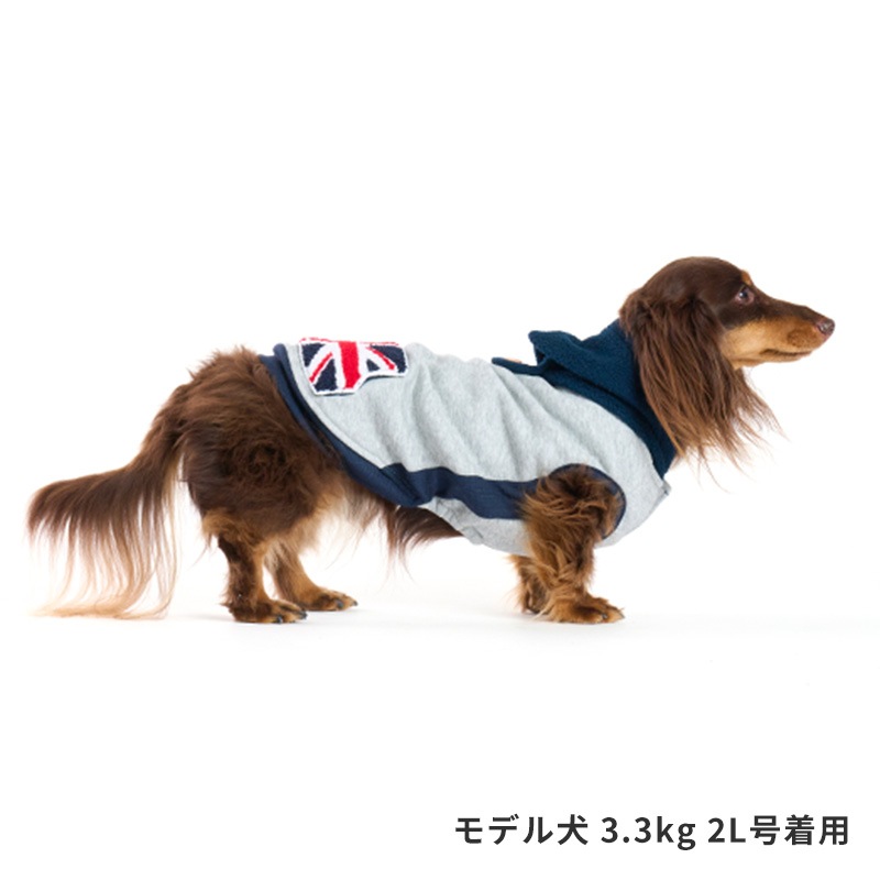 フラッグポケフーディー