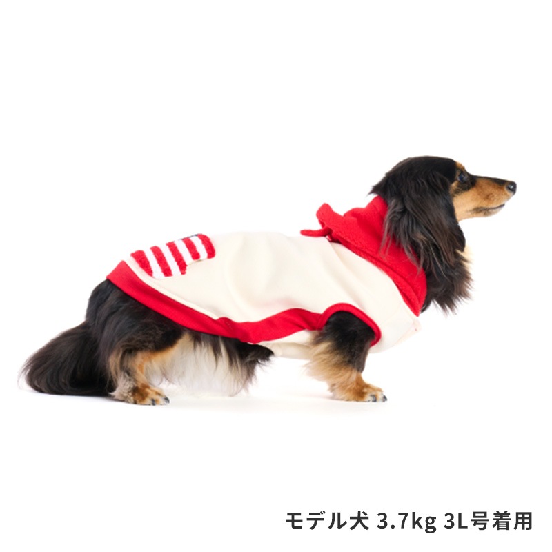 フラッグポケフーディー