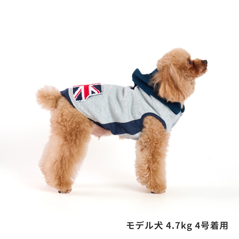 フラッグポケフーディー