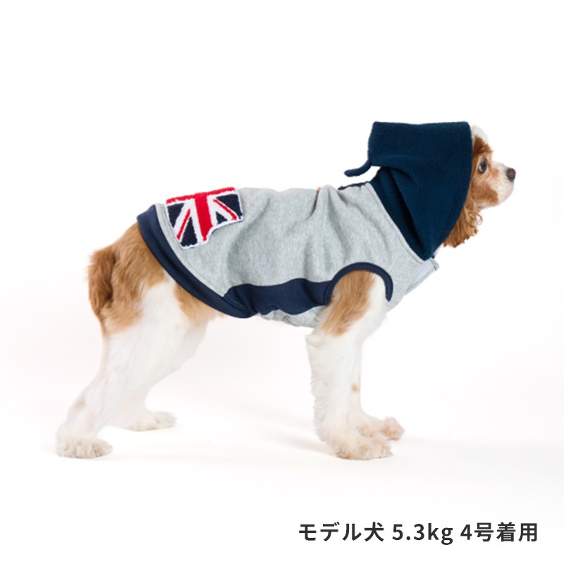 フラッグポケフーディー