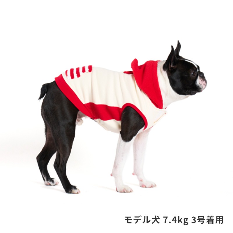 フラッグポケフーディー
