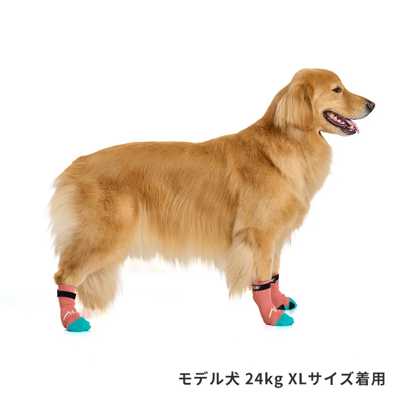 マウンテンロングソックス