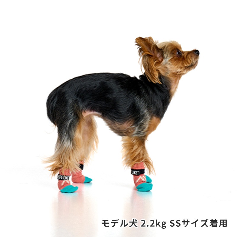 マウンテンロングソックス