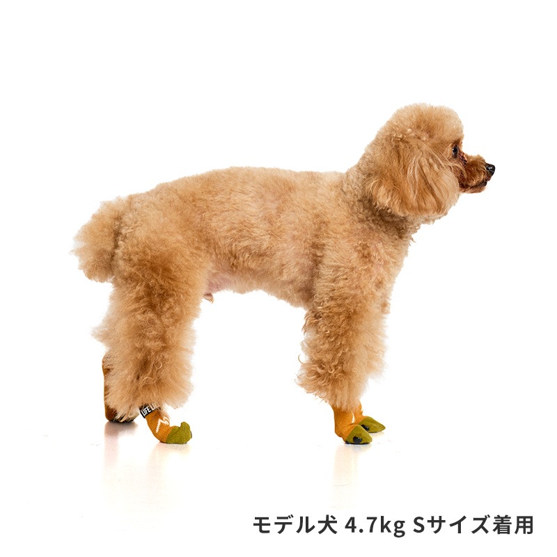 マウンテンロングソックス