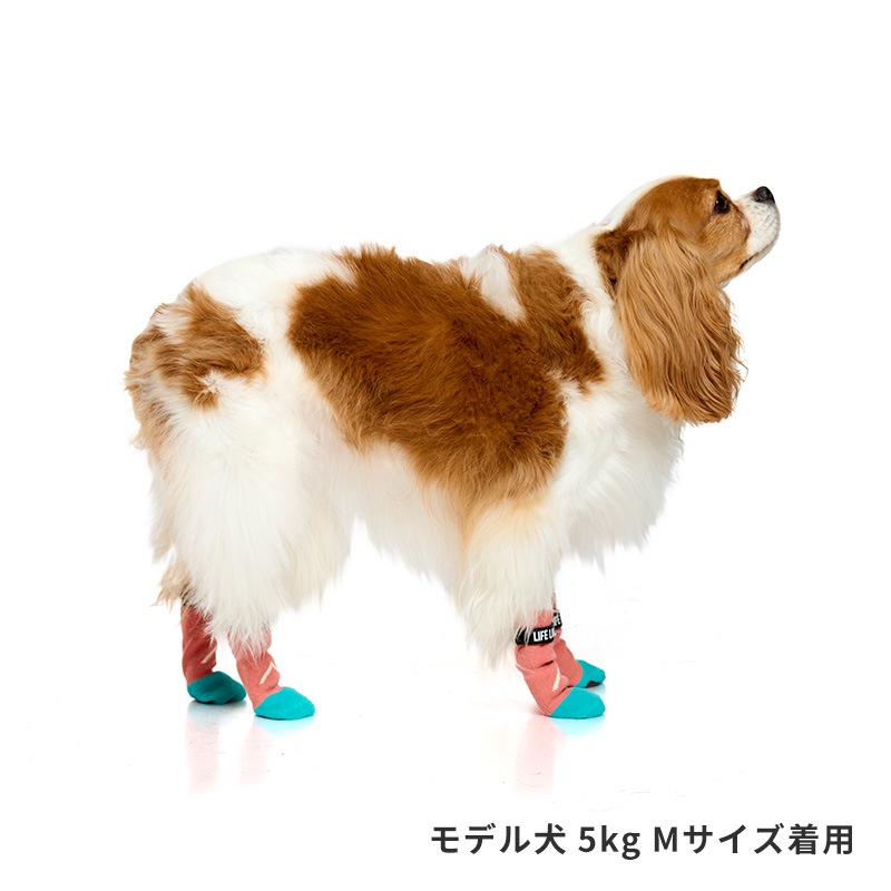 マウンテンロングソックス