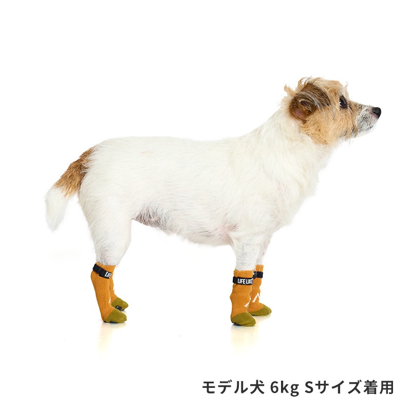 マウンテンロングソックス