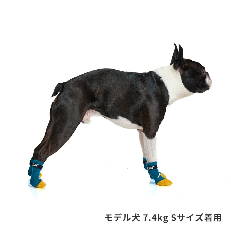 マウンテンロングソックス