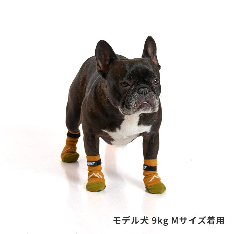 マウンテンロングソックス