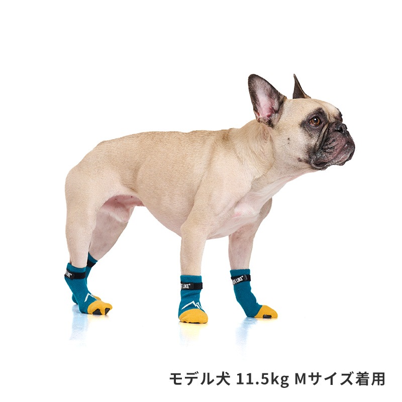 マウンテンロングソックス