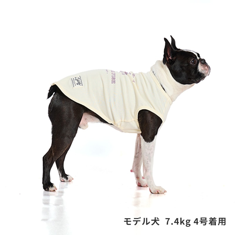 シークリーチャーズタンク