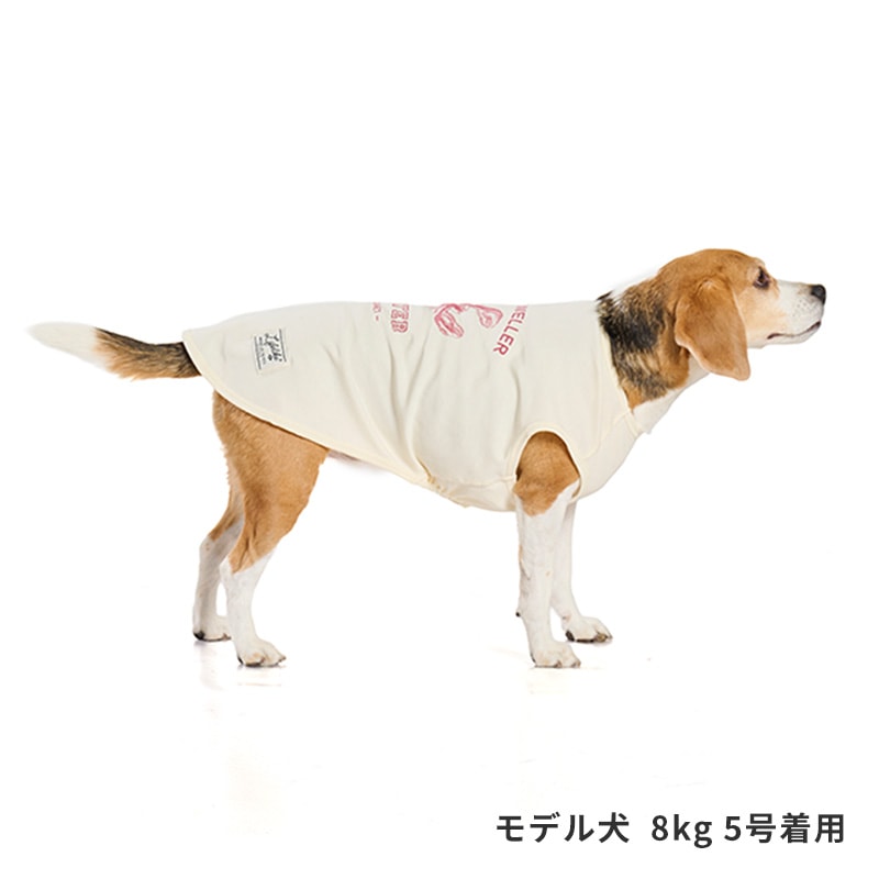 シークリーチャーズタンク