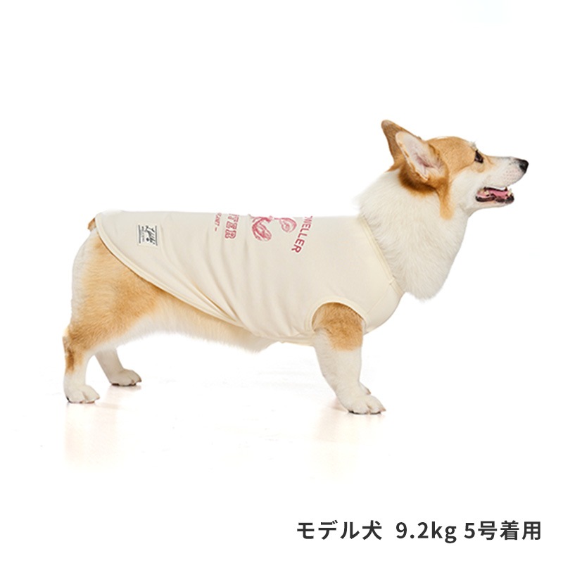 シークリーチャーズタンク