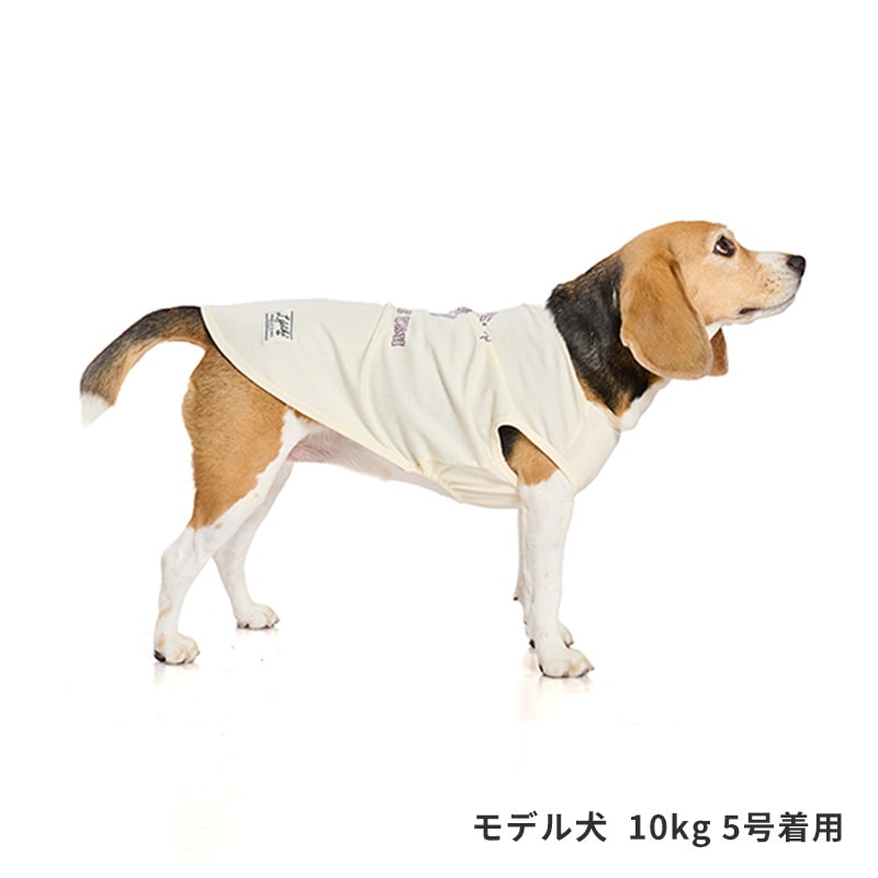 シークリーチャーズタンク