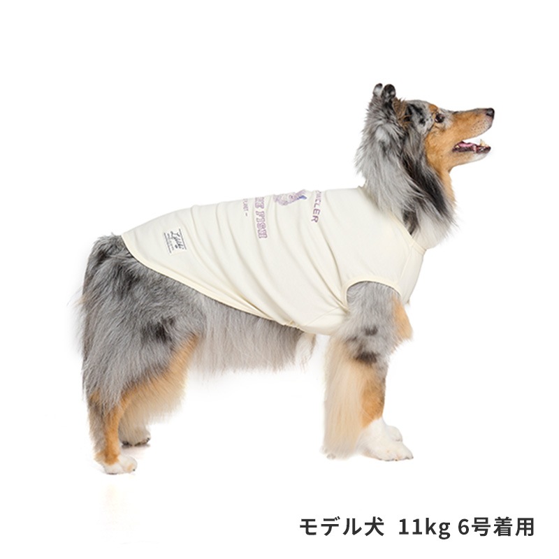 シークリーチャーズタンク