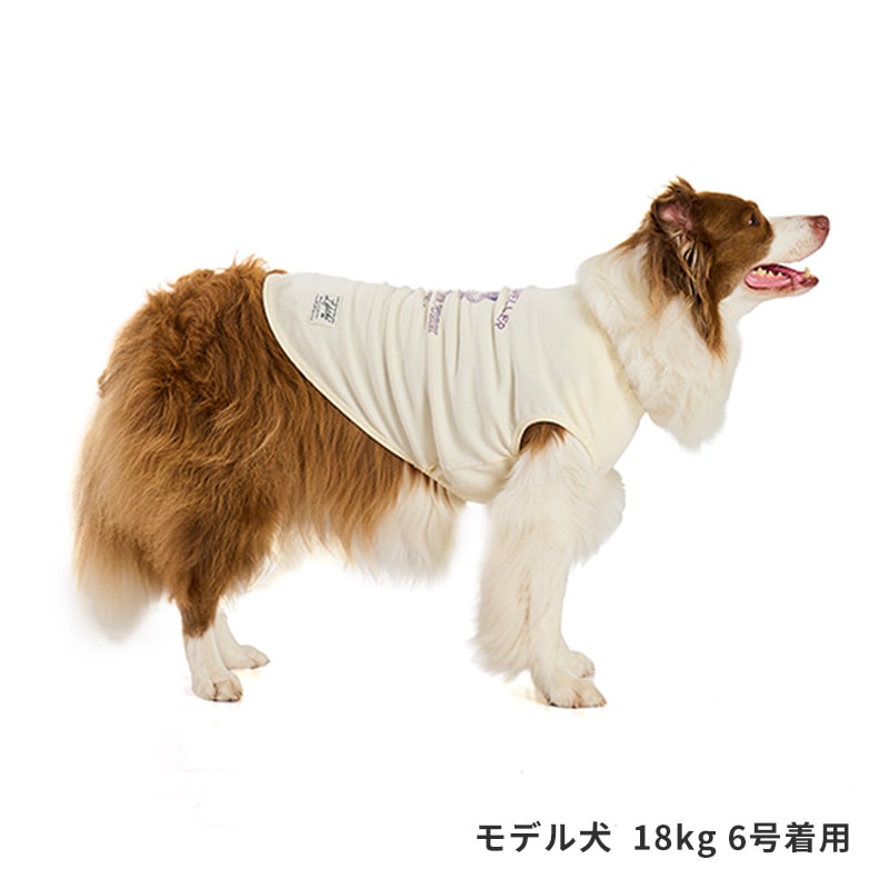 シークリーチャーズタンク