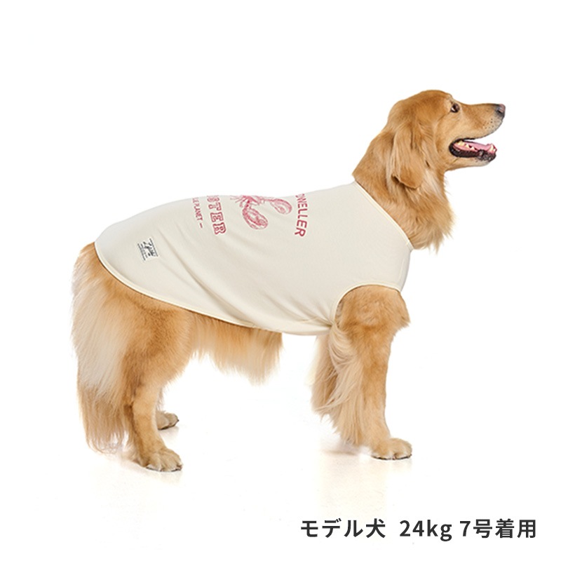 シークリーチャーズタンク