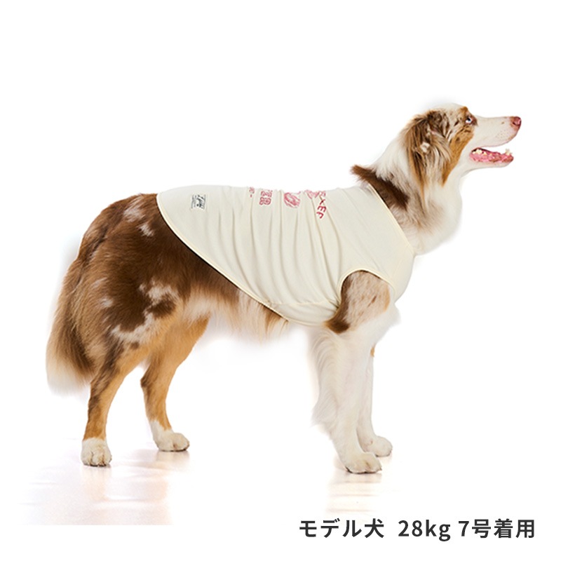 シークリーチャーズタンク