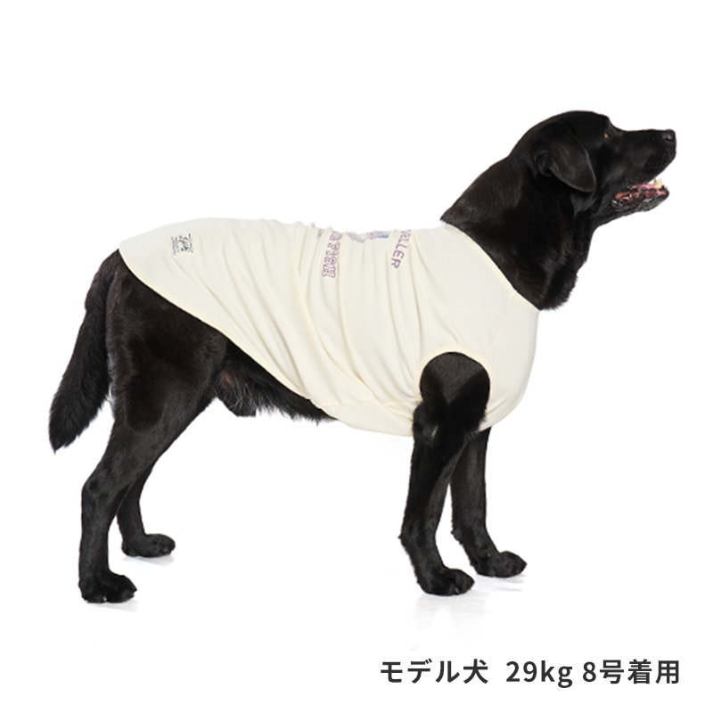 シークリーチャーズタンク